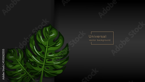 Horizontal banner with green monstera leaves on black background. Tropical palm leaf, copy space, minimal dark design. Vector web banner for natural products, beauty and spa salon presentation.