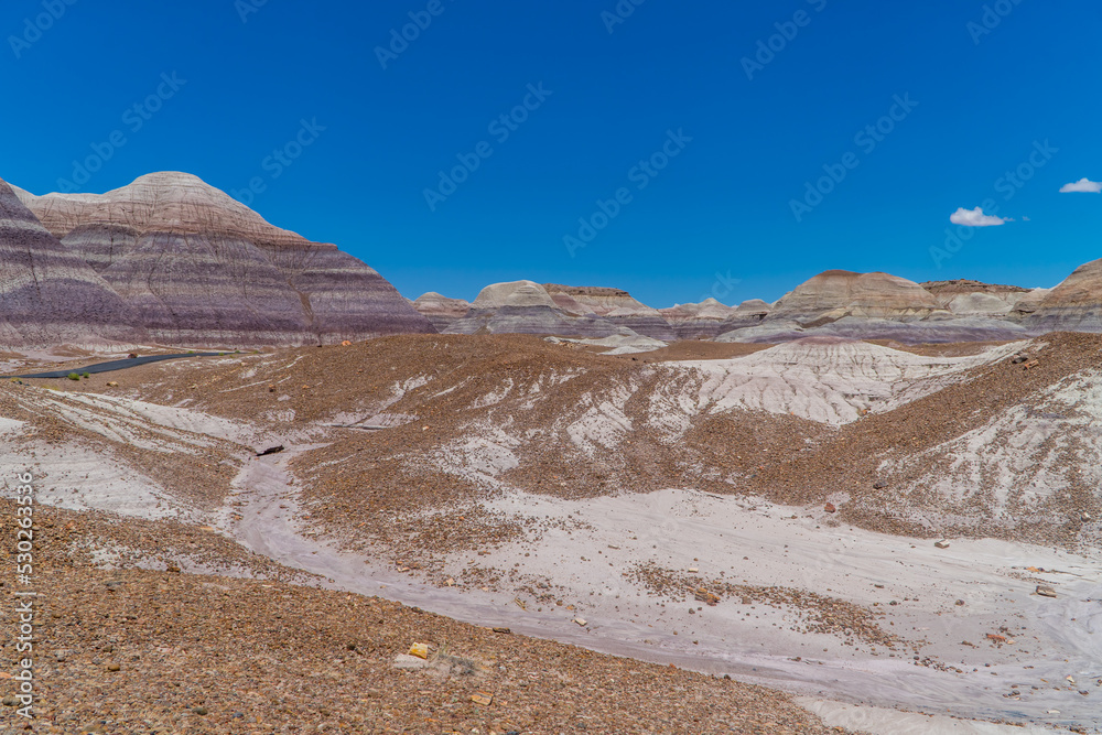 Panoramic view of the landscapes in the Petrified Forest National Park, Arizona, USA