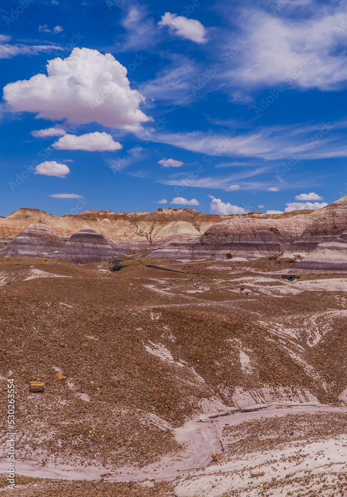 Vertical shot of the badlands landscapes in the Petrified Forest National Park, Arizona, USA