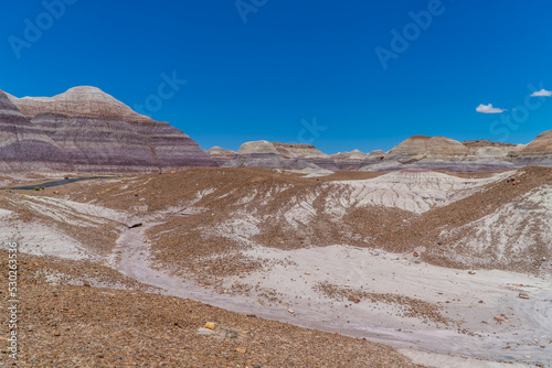 Panoramic view of the landscapes in the Petrified Forest National Park, Arizona, USA