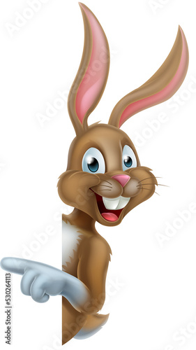 Bunny Rabbit Pointing