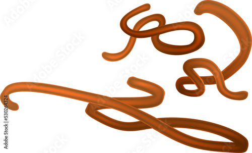 Ebola Virus Virion