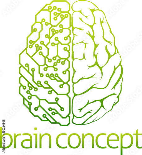 Brain electrical circuit de...