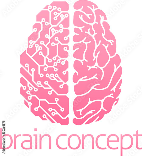 Human brain electrical circuit
