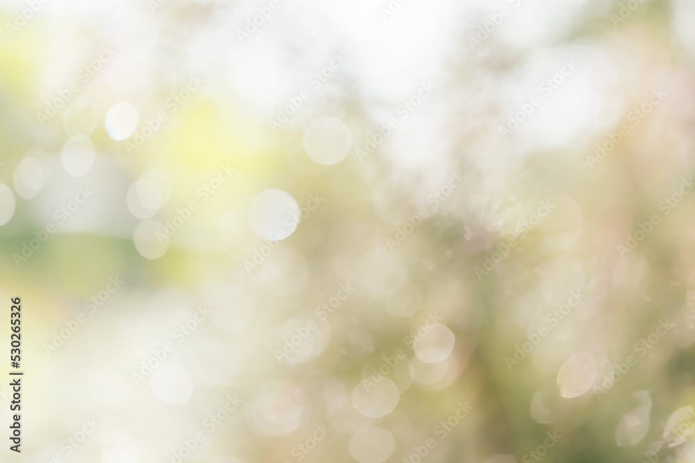background of defocused abstract lights.bokeh lights background of defocused abstract lights.bokeh lights