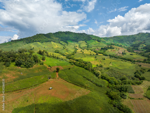 The biggest cause of forest loss in Thailand is agricultural deforestation  environmental damage in Southeast Asia   global warming and environment.