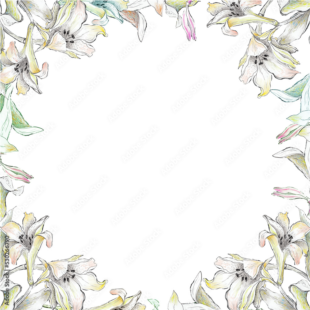 Fototapeta premium Watercolor frame with wild flowers. With transparent layer.