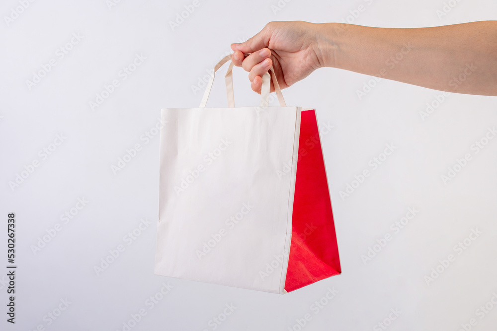 Hand Holding Paper Bag isolated on White Background.