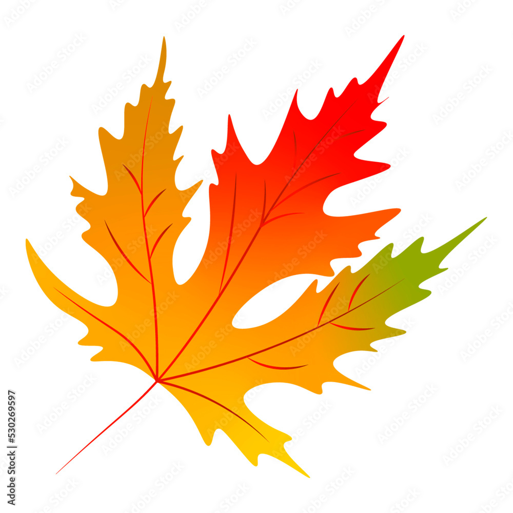 Autumn leaf Autumn leaf