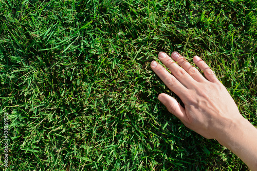 Woman touching fresh grass on green lawn, top view. Space for text