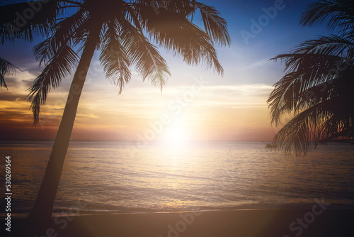 Sunset in Vietnam on Phu Quoc island. Exotic vacation landscape. Palm tree silhouette. Summer travel paradise view. Romantic evening on a beach. Holiday travel background.