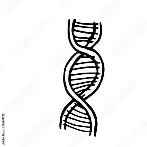Double Helix