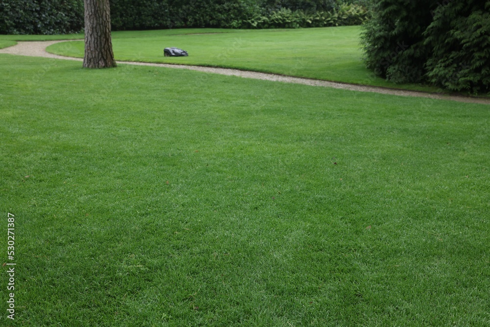 Obraz premium Beautiful freshly cut green lawn in park