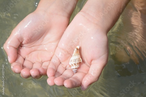 Kid holding seashell in hands above water outdoors, closeup