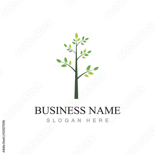 tree logo design with template vector concept