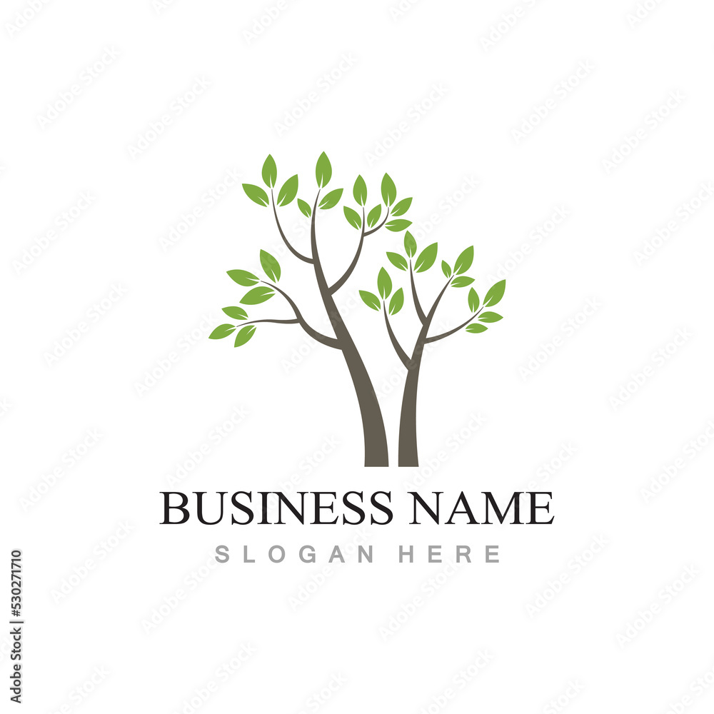 Obraz premium tree logo design with template vector concept