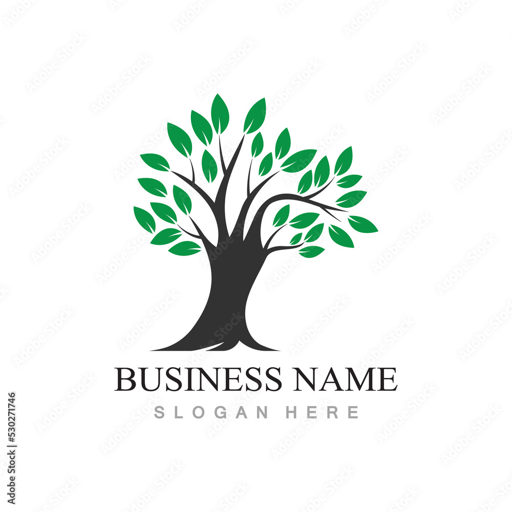 Obraz premium tree logo design with template vector concept