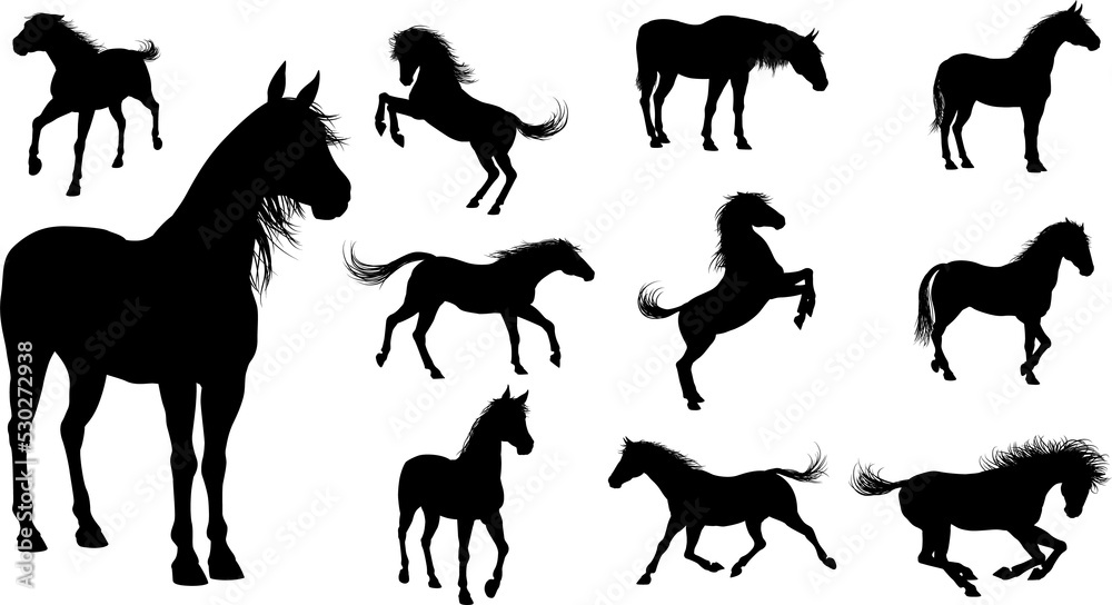 Fototapeta premium Silhouette Horses