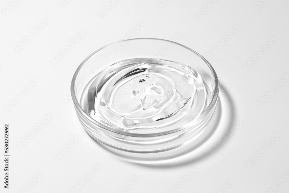 Petri dish with liquid on white background Petri dish with liquid on white background