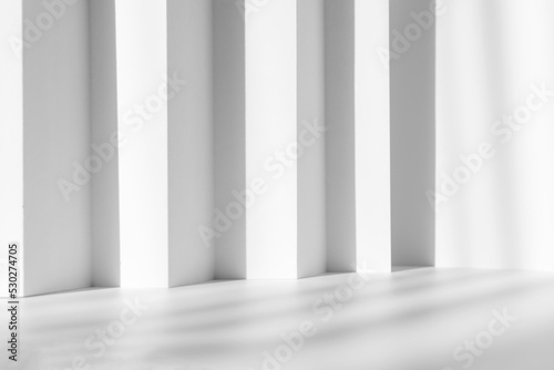Abstract white studio background for product presentation. Empty gray room with shadows of window. Display product with blurred backdrop. © Lyubov