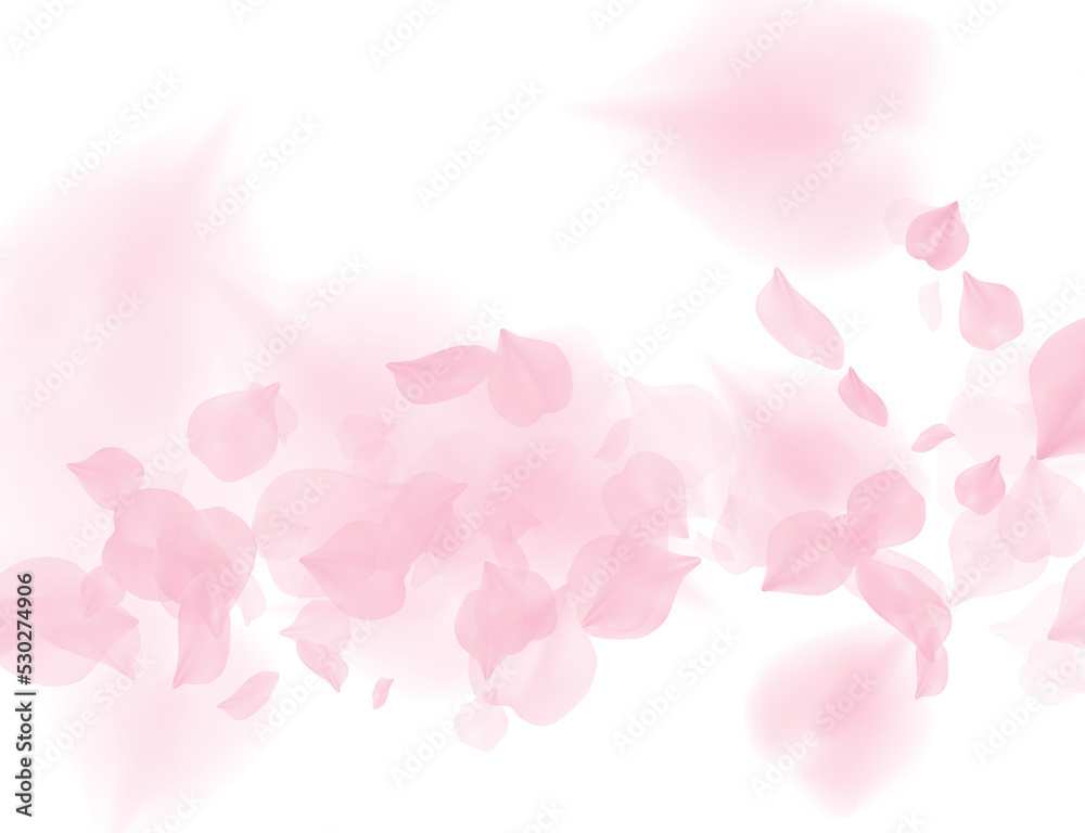 Pink sakura flower falling petals on transparent background. 3D romantic valentines day illustration. Spring tender light backdrop. PNG overlay tenderness romance design