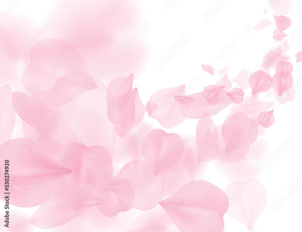 Sakura petal flying png overlay on transparent background. Pink flower petals wave illustration. 3D romantic valentines day spring tender light backdrop. Overlay tenderness romance design
