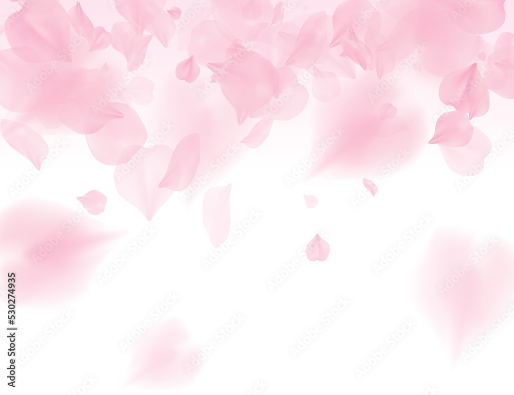 Pink sakura petals on transparent background. A lot of falling petals 3D romantic valentines day illustration. Spring tender light backdrop. Translucent png overlay tenderness romance design