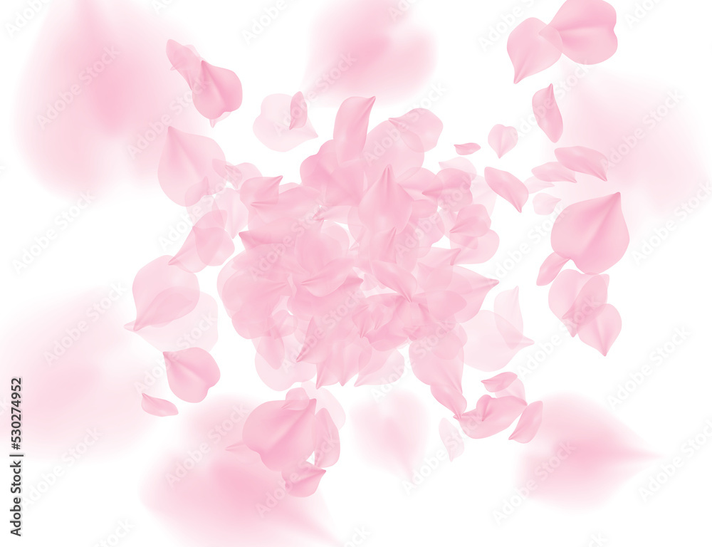 Pink roses petals falling on transparent background. PNG overlay Valentines Day. Sakura flower 3D romantic illustration. Spring tender light center backdrop. Tenderness romance design