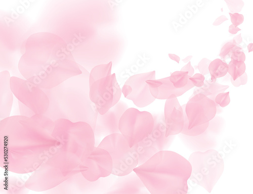 Sakura petal flying png overlay on transparent background. Pink flower petals wave illustration. 3D romantic valentines day spring tender light backdrop. Overlay tenderness romance design photo