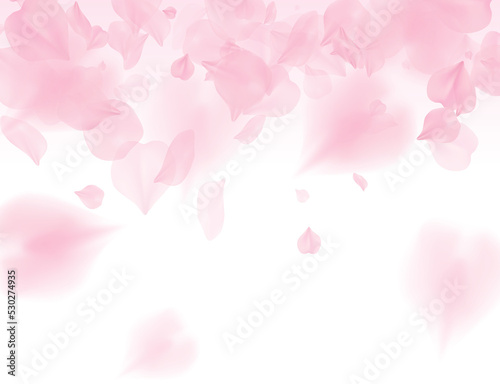 Fototapeta Naklejka Na Ścianę i Meble -  Pink sakura petals on transparent background. A lot of falling petals 3D romantic valentines day illustration. Spring tender light backdrop. Translucent png overlay tenderness romance design