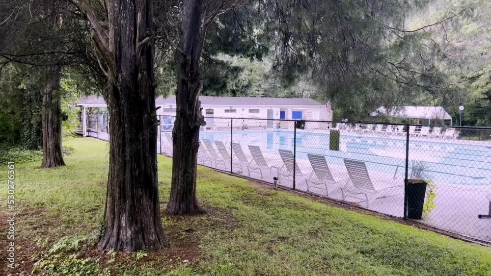 with Pine trees in rain with Pine trees in rain