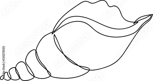 One Line Drawing  shell art