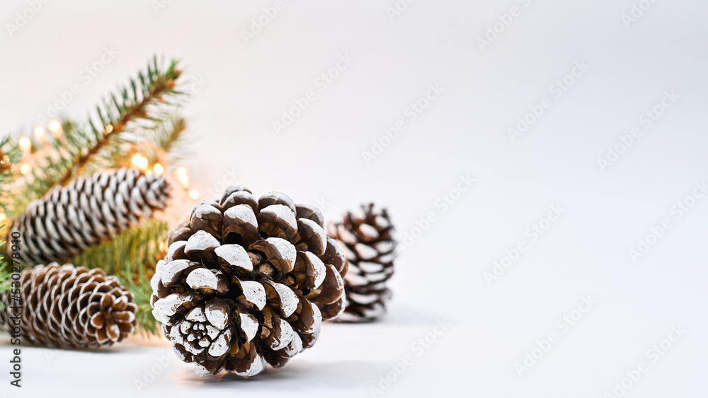 Fir branches with pine cones on white copy space background. Winter Christmas concept Fir branches with pine cones on white copy space background. Winter Christmas concept