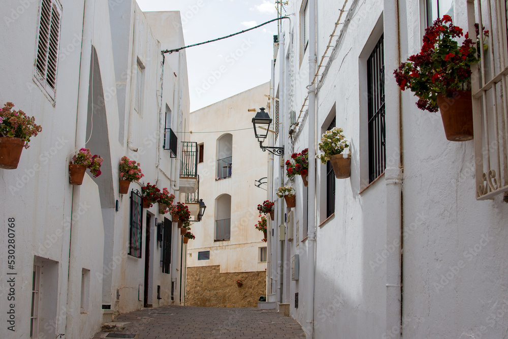Fototapeta premium A view of a street with withe houses and flowers