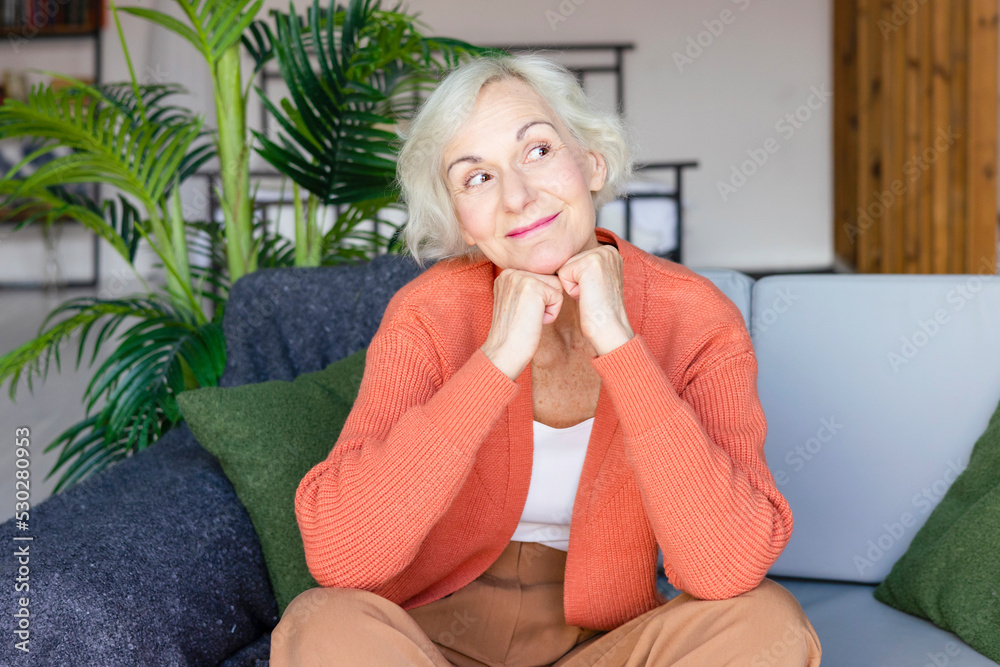 happy beautiful elderly gray haired senior woman sit on sofa in living room in cosy apartment, smiling elderly woman, modern granny candid portrait happy beautiful elderly gray haired senior woman sit on sofa in living room in cosy apartment, smiling elderly woman, modern granny candid portrait