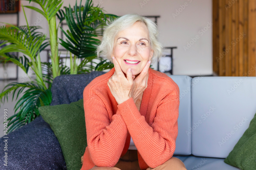 happy beautiful elderly gray haired senior woman sit on sofa in living room in cosy apartment, smiling elderly woman, modern granny candid portrait happy beautiful elderly gray haired senior woman sit on sofa in living room in cosy apartment, smiling elderly woman, modern granny candid portrait