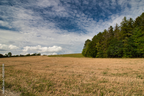 A stubble field  latter summer day under white clouds.  