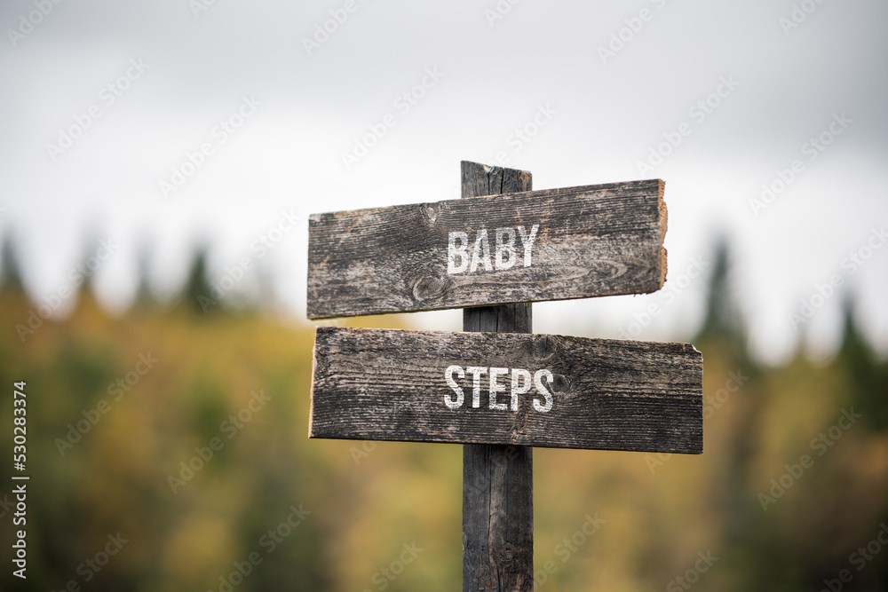vintage and rustic wooden signpost with the weathered text quote baby steps, outdoors in nature. blurred out forest fall colors in the background.