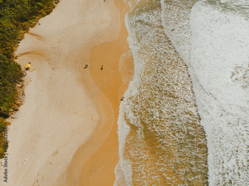 Beach view in Camboriu or Praia do Rosa, Drone View Beach view in Camboriu or Praia do Rosa, Drone View
