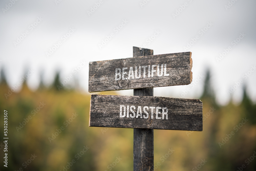 vintage and rustic wooden signpost with the weathered text quote beautiful disaster, outdoors in nature. blurred out forest fall colors in the background.