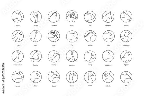 Icons of poultry head meat and farm animals, vector illustration of the line rooster, chicken, cow and common ostrich and emu. Types of meat.