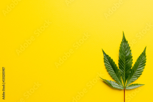 Image of marihuana leaf lying on white background