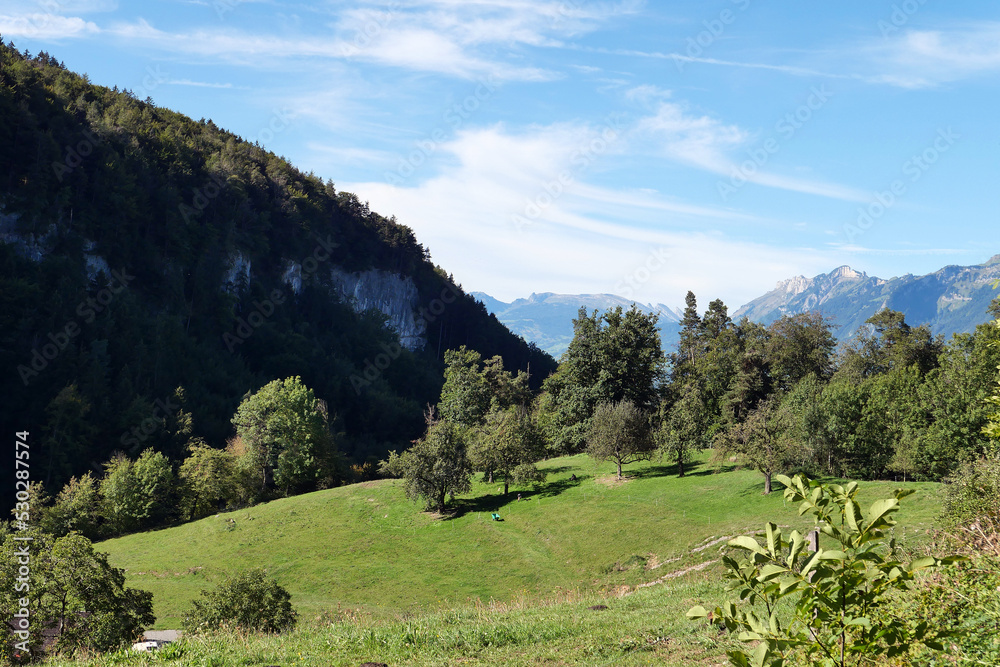 Blick von Götzis (Arbogast) auf die Schweizer Berge