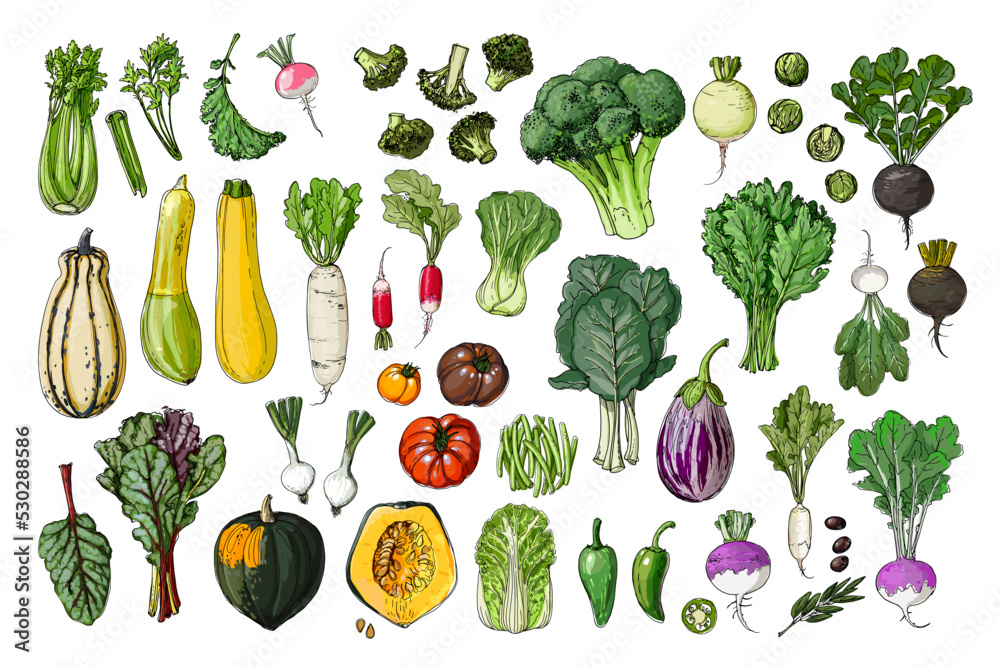 Drawing Vegetable Green - Easy To Draw Broccoli, HD Png Download -  680x678(#2703940) - PngFind
