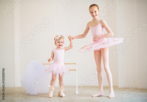 The older sister, a ballerina in a pink tutu and pointe shoes, shows the baby how to practice at the barre.