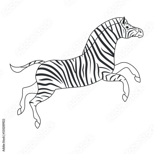 Fototapeta Naklejka Na Ścianę i Meble -  Vector flat hand drawn outline jumping zebra isolated on white background