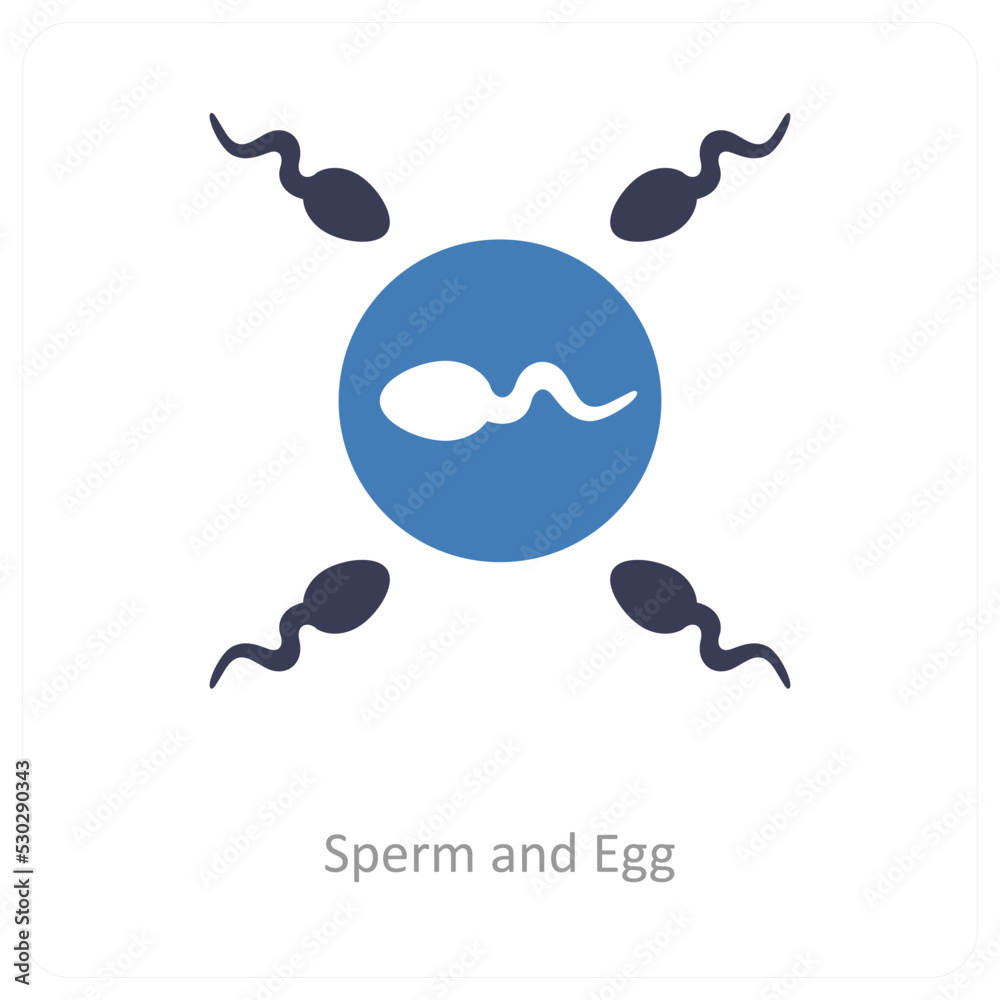 Sperm And Egg