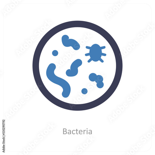 Bacteria