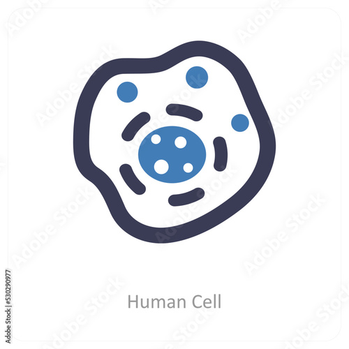 Human Cell