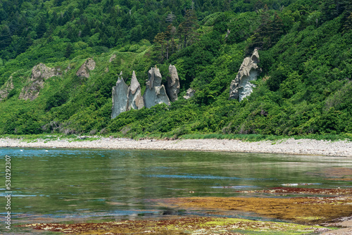 coastal landscape, beautiful lava rocks on the green coast of Kunashir island, algae on the littoral at low tide